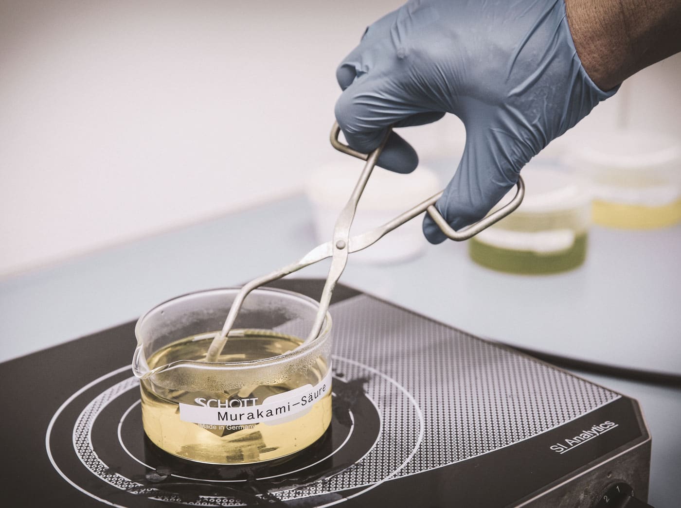 Laboratory Investigations and Material Testing - Gustav Grimm Quality Assurance